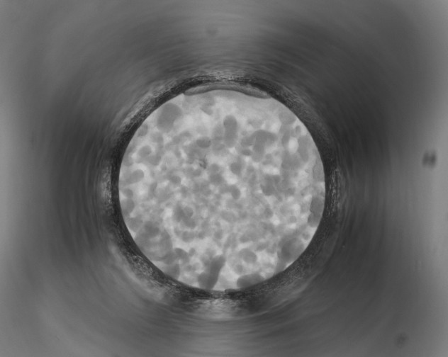 X0000114700212200912021115