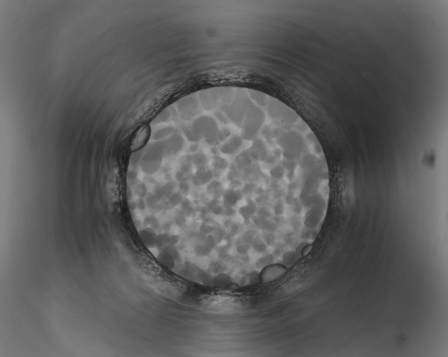 X0000114700224200912021115