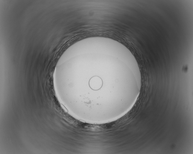 X0000114700229200912021115