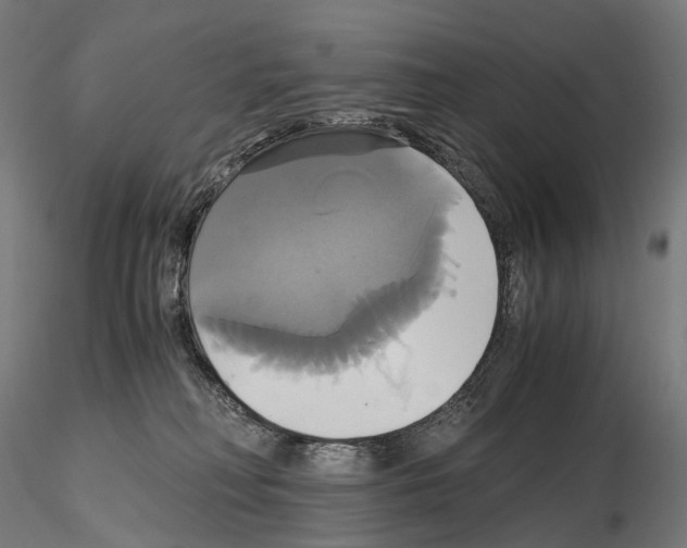 X0000114700230200912021115