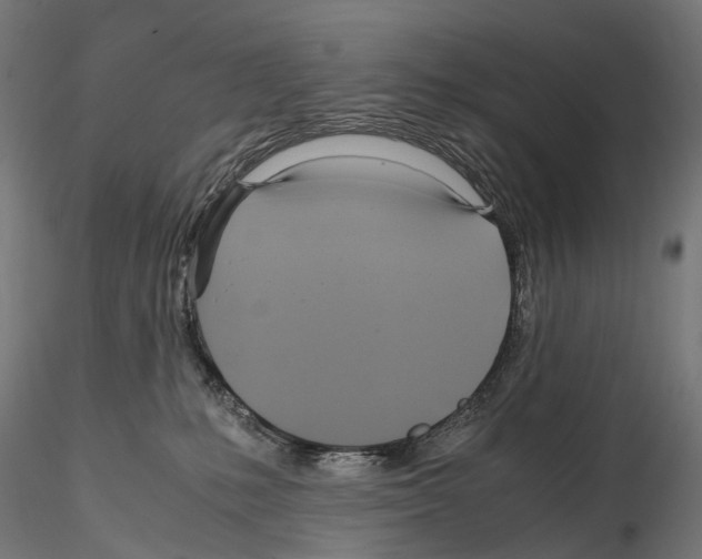 X0000114700231200912021115