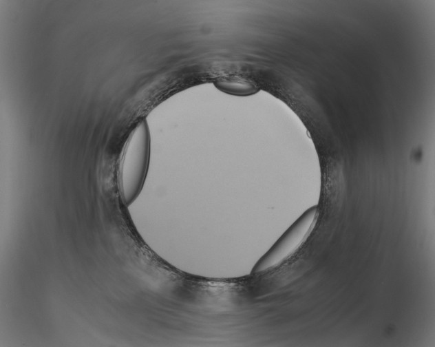 X0000114700233200912021115