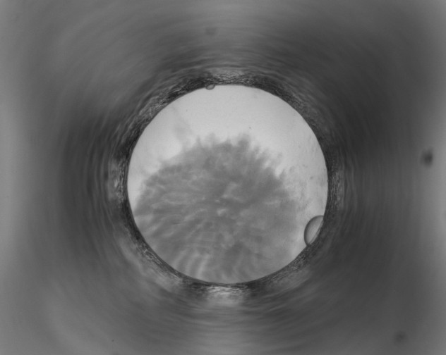 X0000114700234200912021115