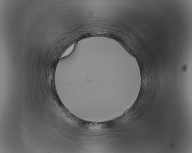 X0000114700235200912021115