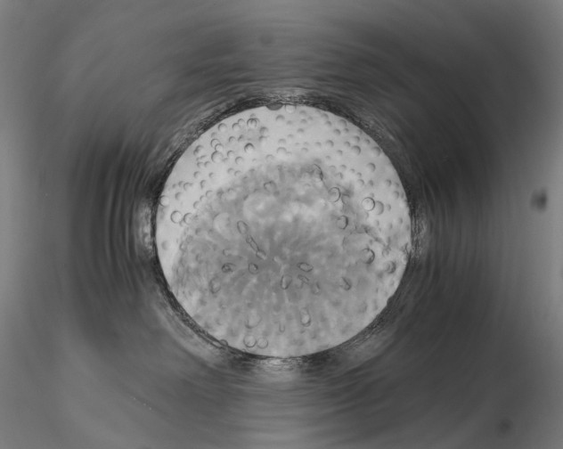 X0000114700238200912021115