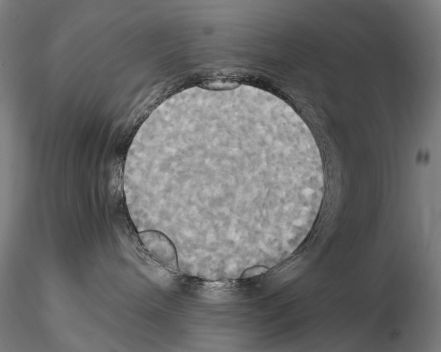 X0000114700240200912021115