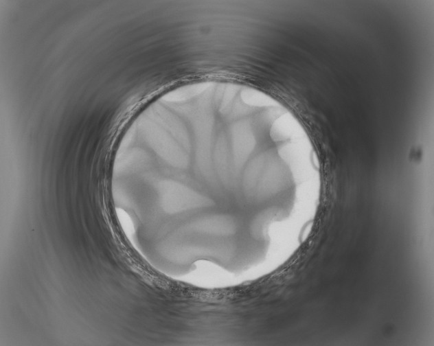 X0000114700241200912021114