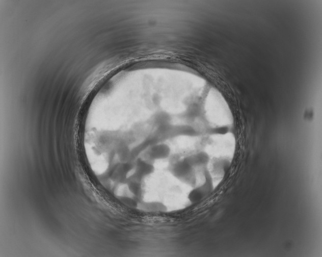 X0000114700242200912021114