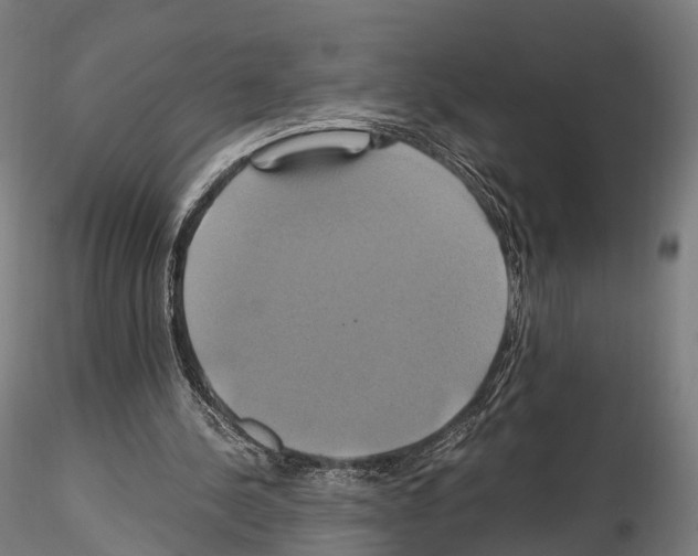 X0000114700244200912021114