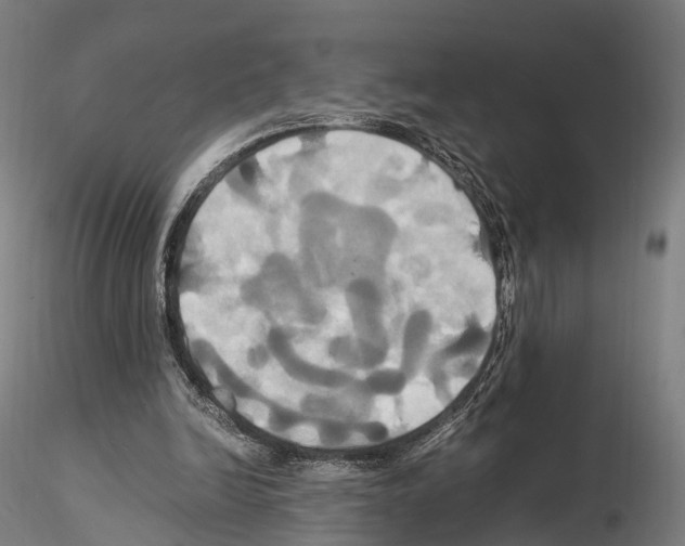 X0000114700246200912021114