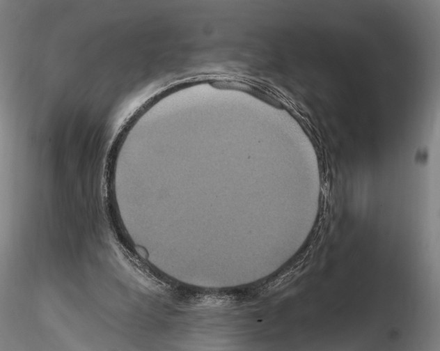 X0000114700248200912021114