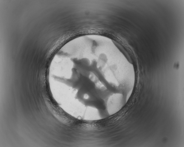 X0000114700250200912021114