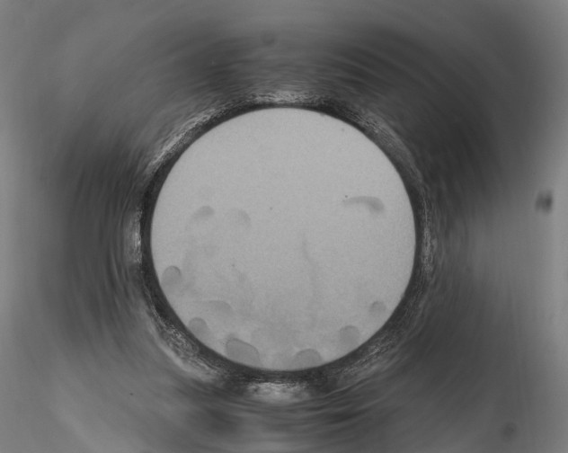 X0000114700251200912021114