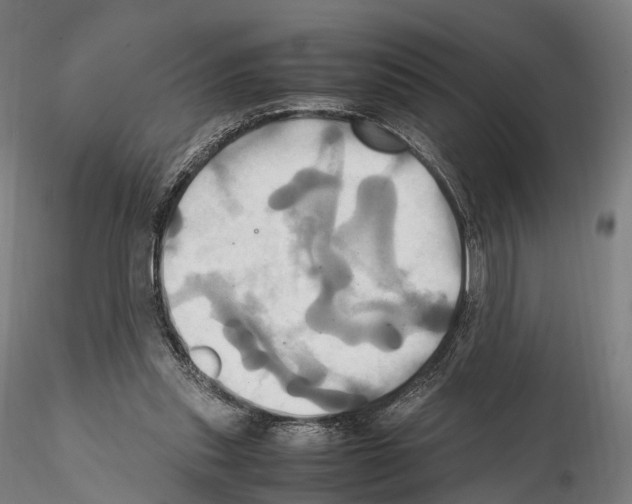 X0000114700253200912021114