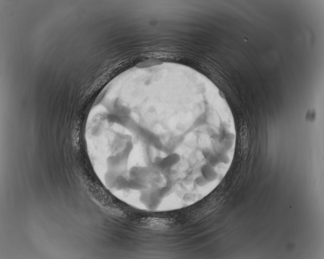 X0000114700255200912021114