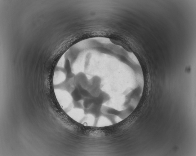 X0000114700258200912021114