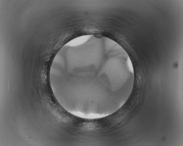 X0000114700259200912021114