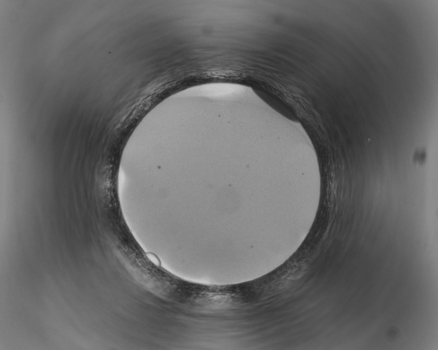 X0000114700260200912021114