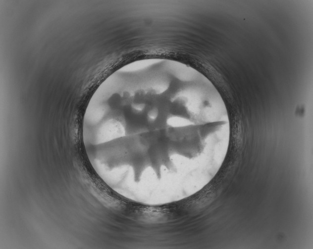 X0000114700261200912021114