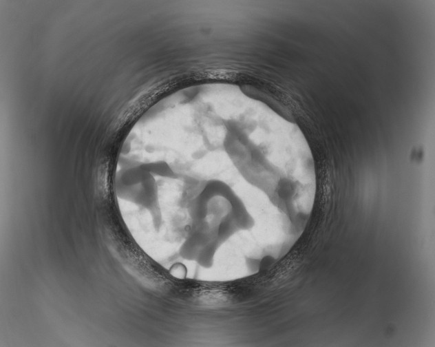 X0000114700262200912021114