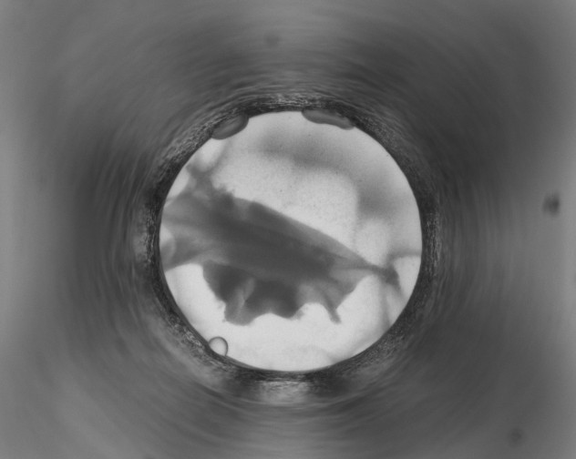 X0000114700266200912021114