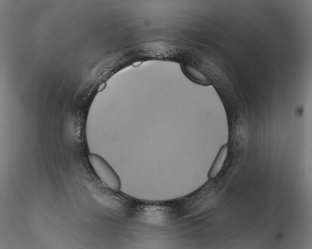 X0000114700268200912021114