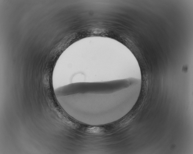 X0000114700269200912021114