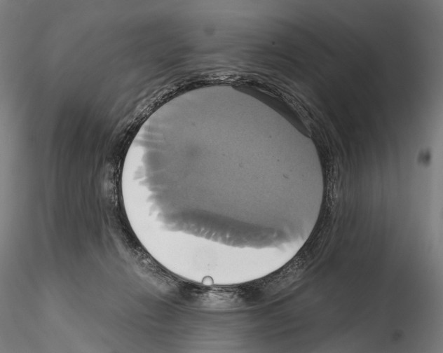 X0000114700270200912021114