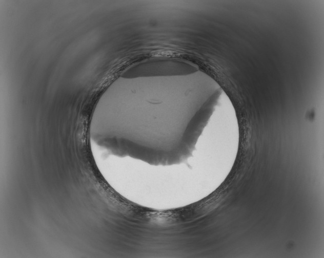 X0000114700273200912021114