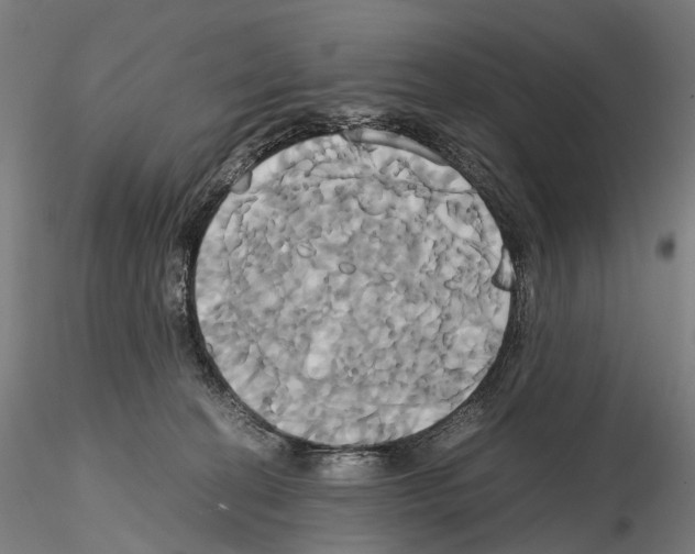 X0000114700274200912021114