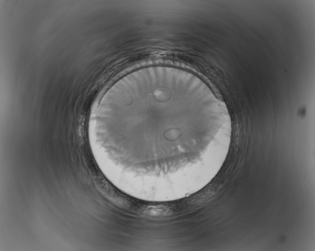 X0000114700275200912021114