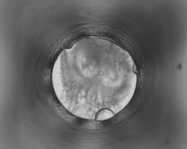 X0000114700278200912021115