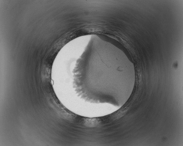 X0000114700281200912021115