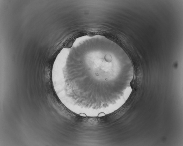 X0000114700282200912021115