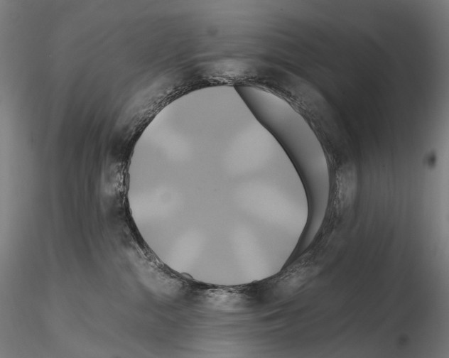 X0000114700284200912021115