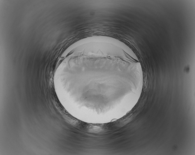 X0000114700285200912021115