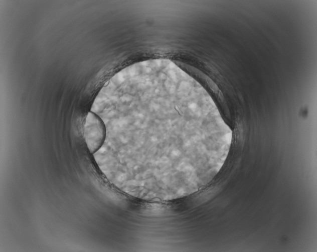 X0000114700286200912021115