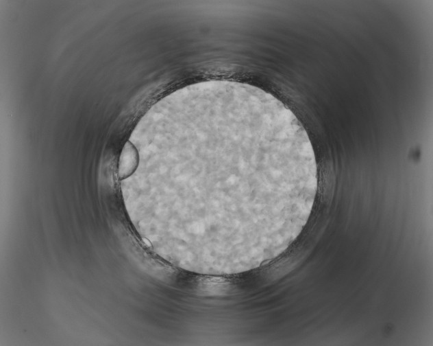 X0000114700287200912021115