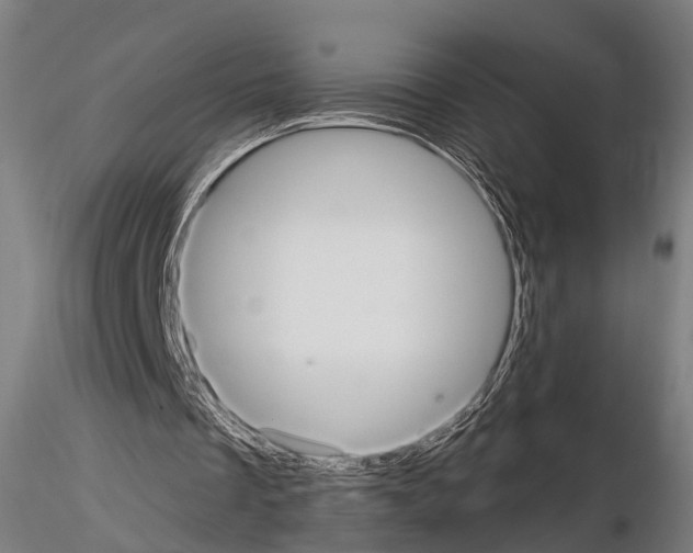 X0000114700289200912021114