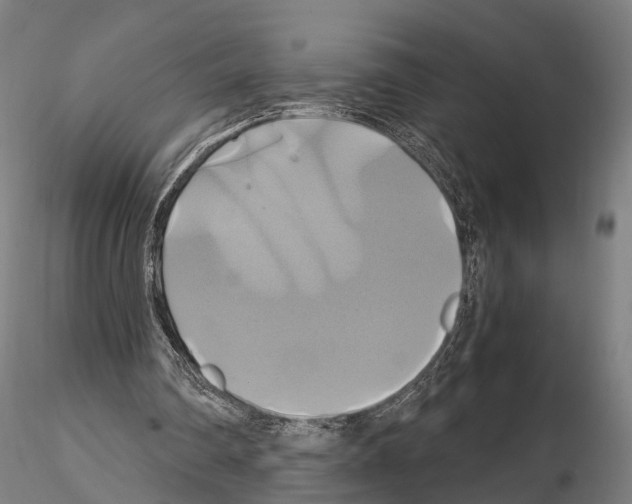 X0000114700290200912021114