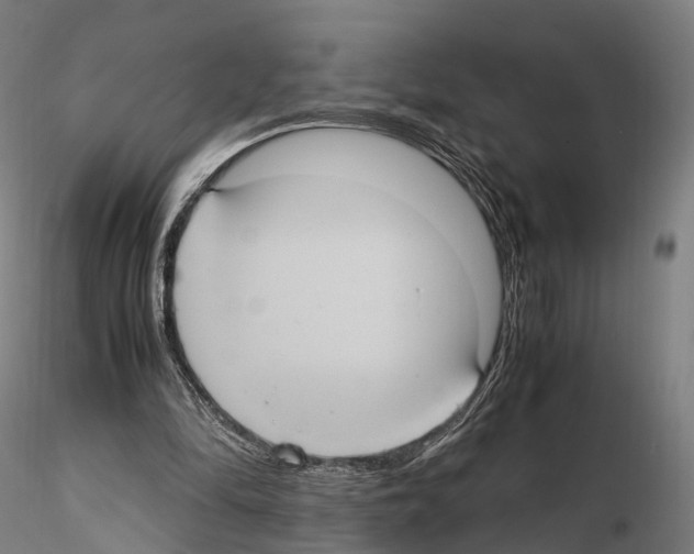 X0000114700294200912021114