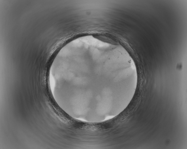 X0000114700299200912021114