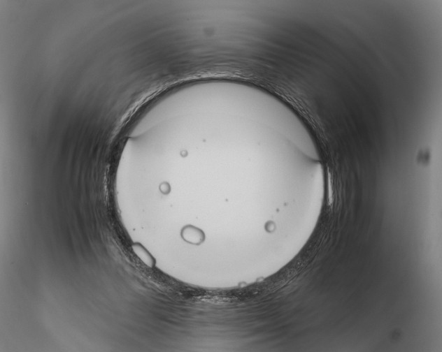 X0000114700300200912021114