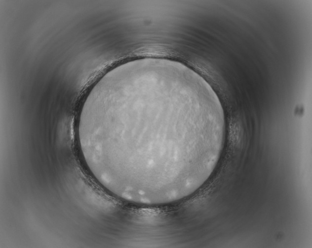 X0000114700302200912021114