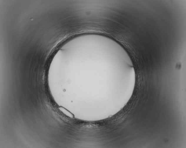 X0000114700304200912021114