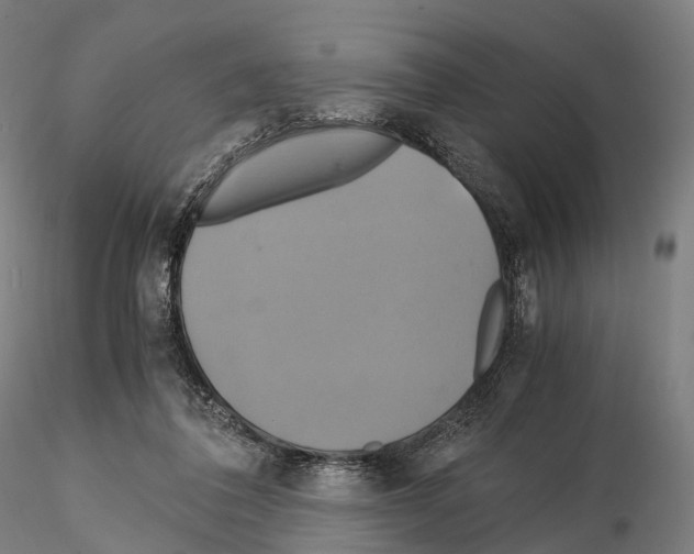 X0000114700308200912021114