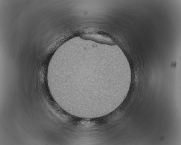 X0000114700311200912021114