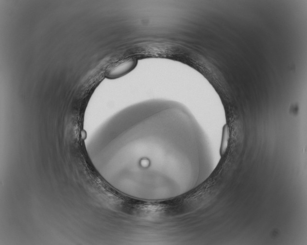 X0000114700313200912021114