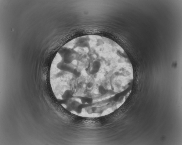 X0000114700315200912021114