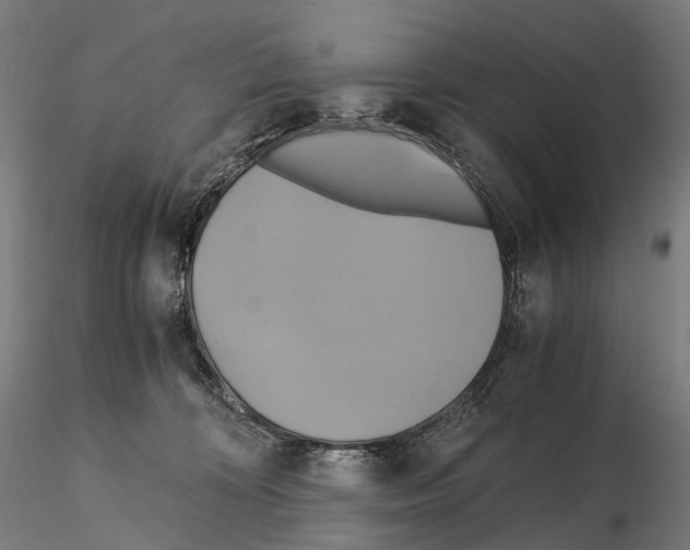 X0000114700324200912021113